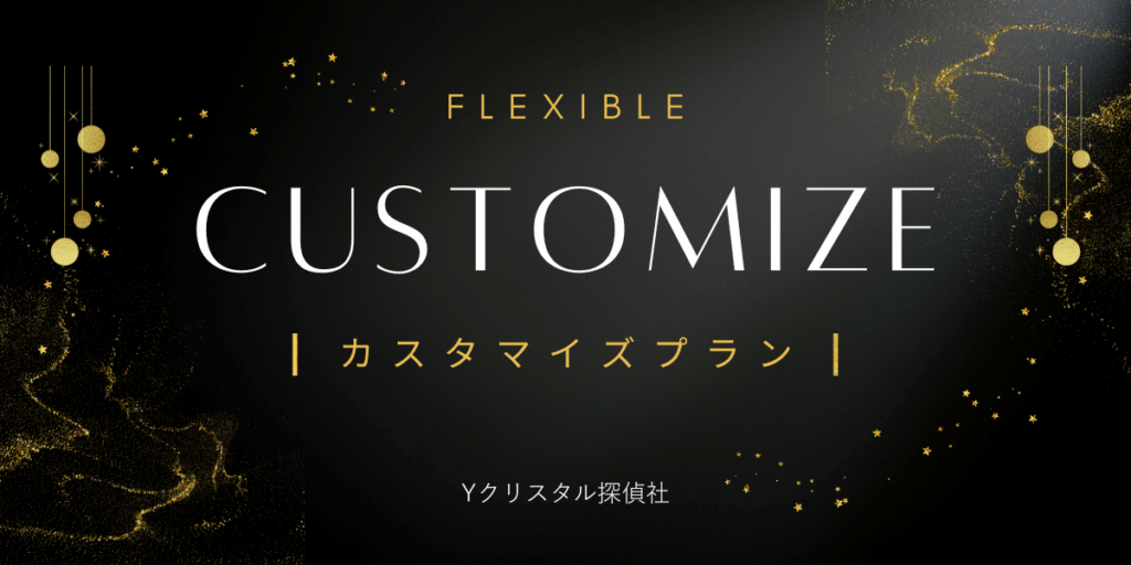 「FLEXIBLE CUSTOMIZE カスタマイズプラン」と書かれた黒と金のデザイン画像。